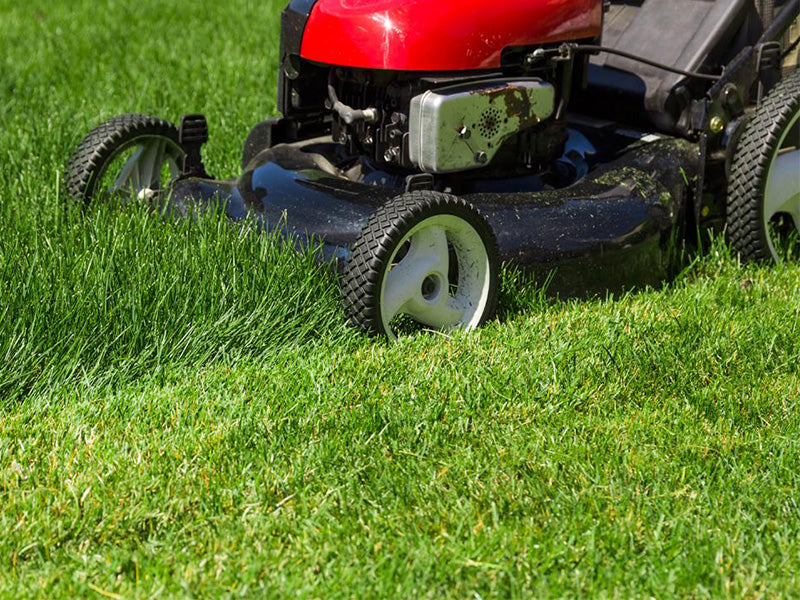 Servicing Your Mower Ready For Summer