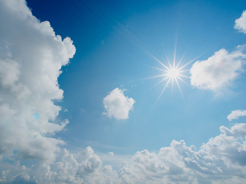 How to stay sun safe while gardening