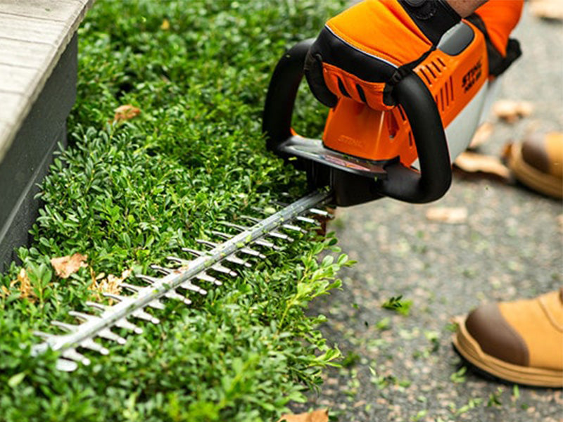 Now is the time to trim your hedge