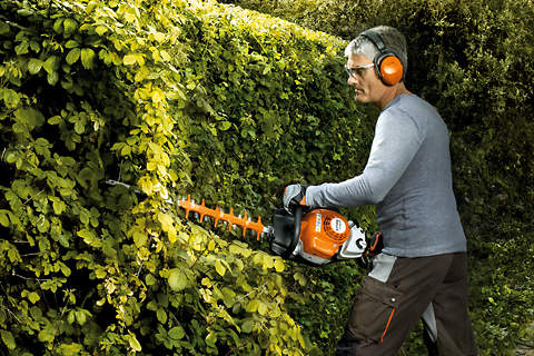 Autumn Garden Care
