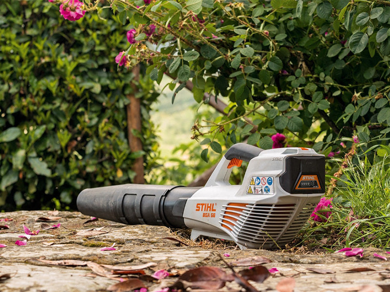 Cleaning up the yard in Winter
