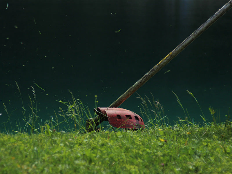 How to Maintain Your Brush Cutter