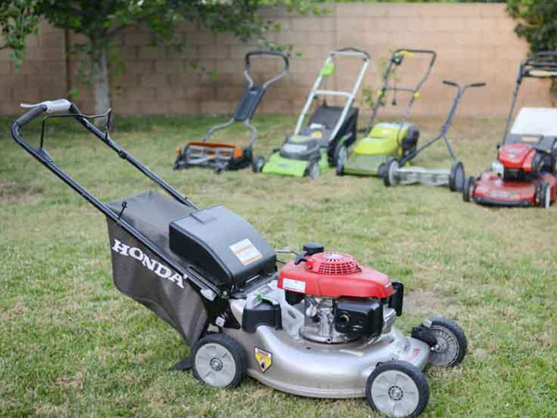 How to Maintain Your Lusciously Green Lawn