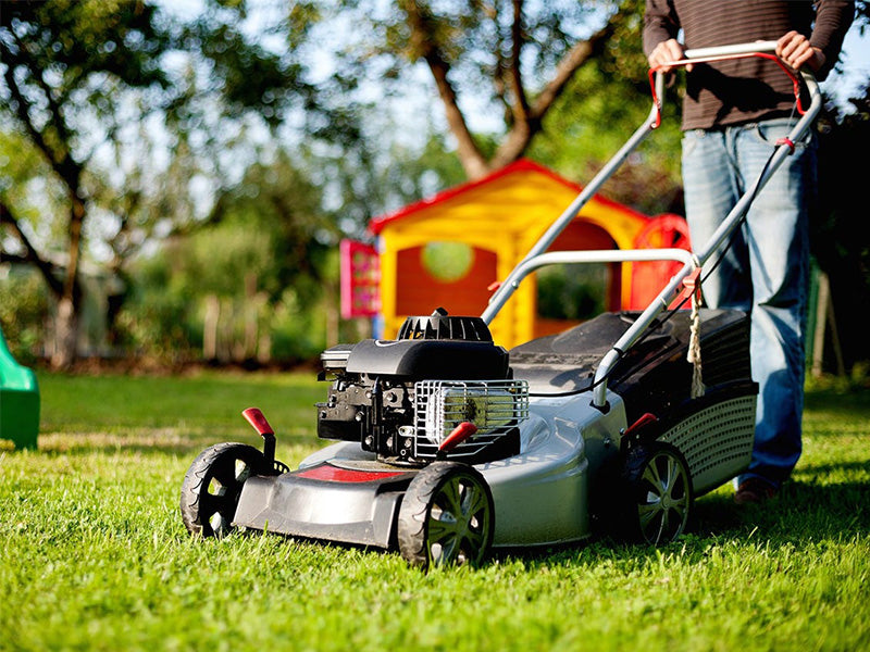How often should I mow the lawn?