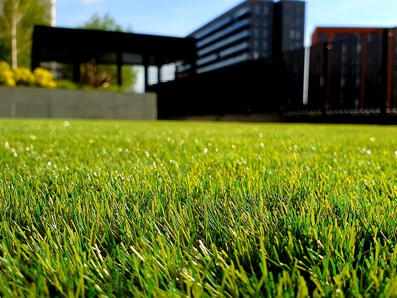 How to protect your lawn and your garden from each other