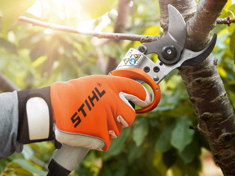Pruning your Garden this year