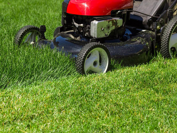 Servicing Your Mower Ready For Summer