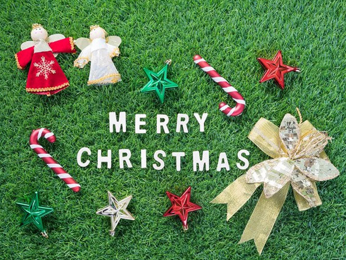Preparing your Garden for Christmas